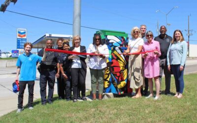 Butterfly-themed traffic signal box expresses Forest Audelia transformation